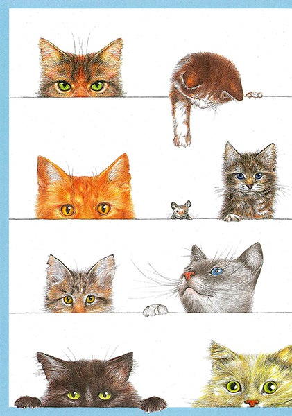 �ڥͥ� �֥롼 ¿��Ū�����ɡ۹��ʼ� ����ꥫ Caspari�� ���꡼�ǥ��󥰥�����/Kitties Blue��͢�������ɡ����������ɡ�