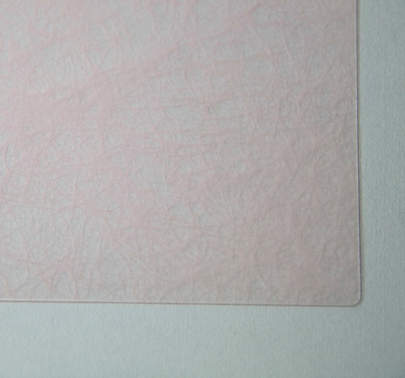 ڥץ졼ޥå » ѡƥ۴Ǥӥˡ ޥå ǥڡѡ ԥ SCHON+ʥץ饹