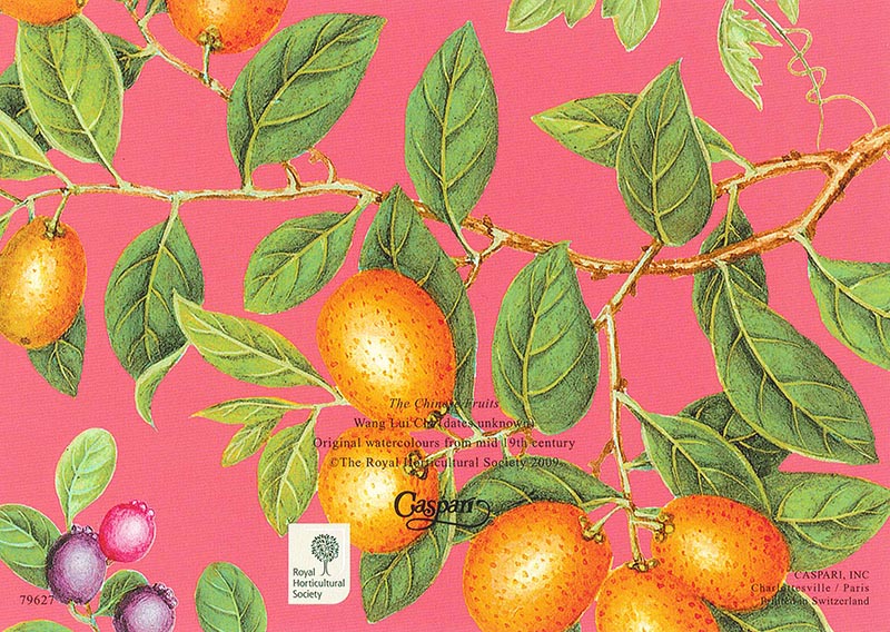 �ڥС����ǡ������� ������ �ơ۹��ʼ� Caspari ���꡼�ǥ��󥰥�����/Chinese Fruits