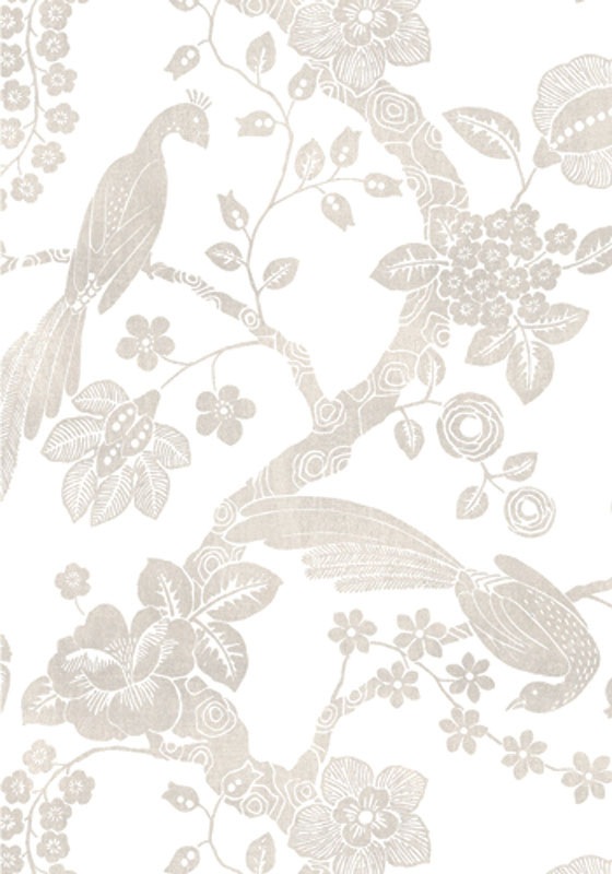 �����ǥ��󥰡��ڥ������֥С������ѡ��롡���ʼ� �������쥤�ʥ���ꥫ Caspari�� ���꡼�ǥ��󥰥�����/ 17.0��11.8cm ���������