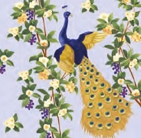 �ڥ��˥ޥ�ۥɥ����� PPD �ڡ��ѡ��ʥץ���/������L������ 20�������