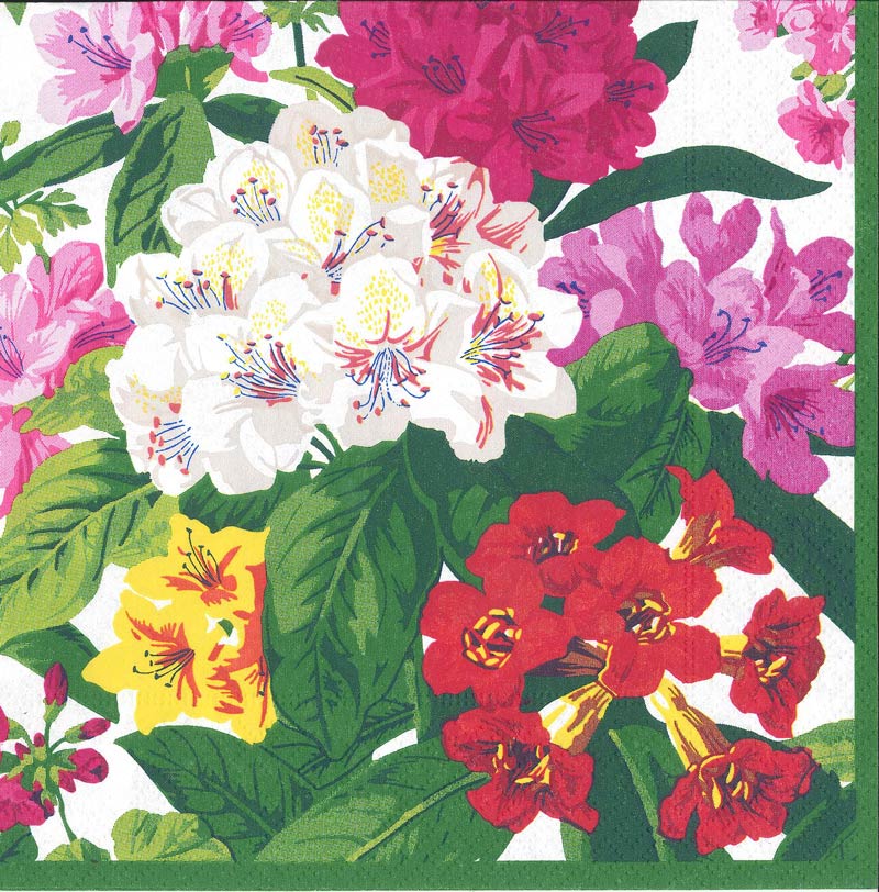 �ڲ������ѡ��ƥ�����Caspari �ڡ��ѡ��ʥץ���/�餭��줿�֡�L������ 20�������