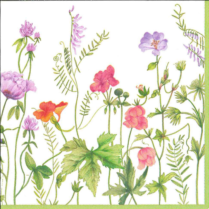 �ڲ������ѡ��ƥ�����Caspari �ڡ��ѡ��ʥץ���/�ե����ե�������L������ 20�������