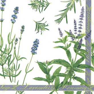 Caspari �ڡ��ѡ��ʥץ���/Kichen Garden��L������ 20�������