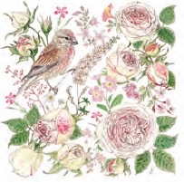 �ڲ֡ۥɥ����� PPD �ڡ��ѡ��ʥץ���/��a vie en rose��L������ 20�������