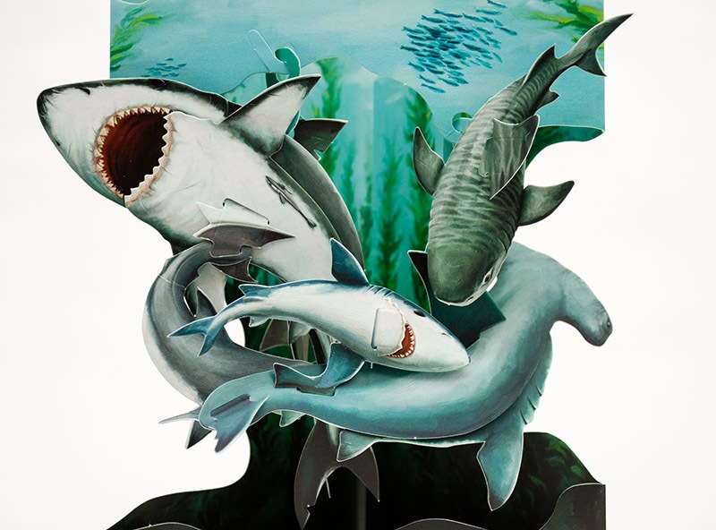 �İ�������륹�����󥰡���å�����������/Santoro London Sharks