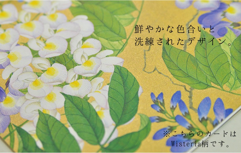 �ڥ��󥭥塼������ �٥ӡ� �֥롼�۹��ʼ����������쥤�ʥ���ꥫ Caspari�� ���꡼�ǥ��󥰥�����/Bebe Boy 14.8��10.2cm  ���������