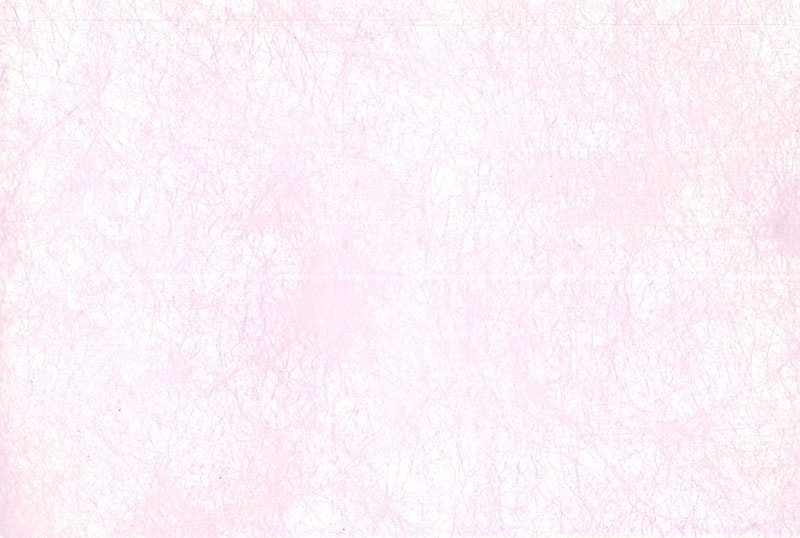 ڥץ졼ޥå » ѡƥ۴Ǥӥˡ ޥå ǥڡѡ ԥ SCHON+ʥץ饹