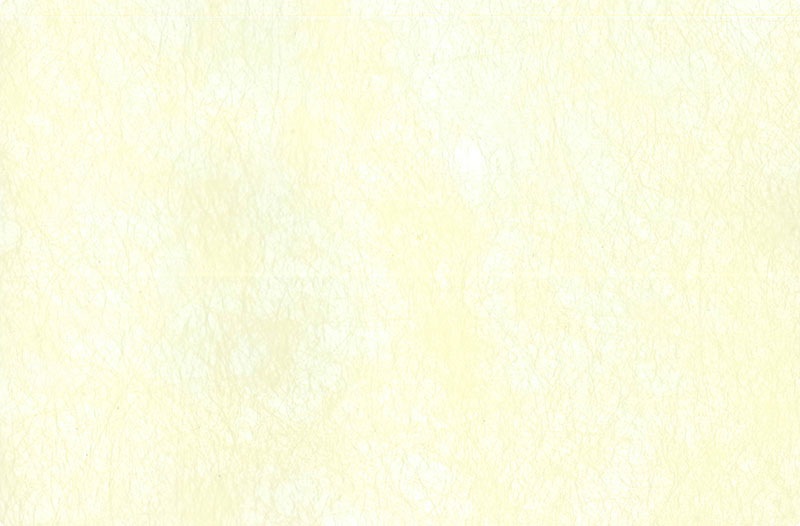 �ڥץ졼���ޥå� �»� �ѡ��ƥ����۴��������Ǥ���ӥˡ����� �����������ޥå� ����ǥ�����ڡ��ѡ� �����ܥ꡼ SCHON+�ʥ�������ץ饹��