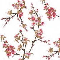 ڲ֡ۥɥ PPD ڡѡʥץ/Fiori RossiL 20