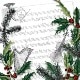 �ڥ��ꥹ�ޥ���Ambiente �ڡ��ѡ��ʥץ���/Christmas Song��L������ 20�������