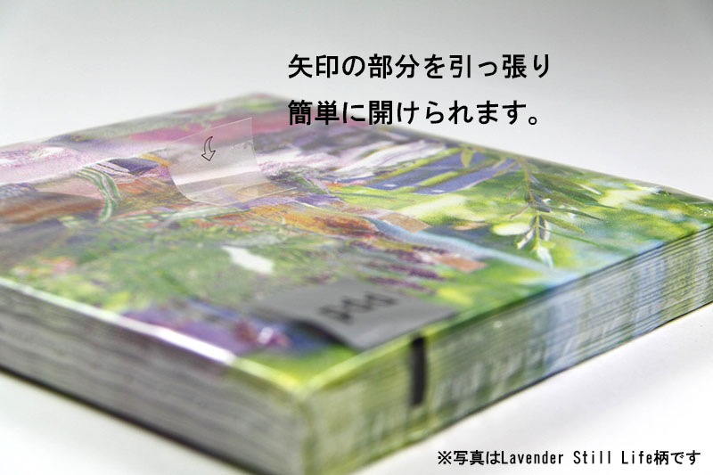 ڥСǡե롦ѡƥPPD ڡѡʥץ/Birthday GraphicL 20