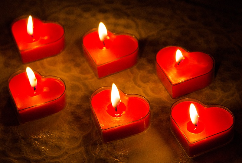 �ڣ�����OFF�ۥ��ꥢ���å� �ƥ����饤�� �����ɥ�ʥϡ��ȡ����եۥ磻�ȡ˥ݥꥫ�ܡ��� 6������ SCH&Ouml;N+�ʥ�������ץ饹��