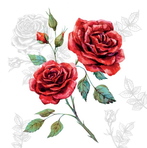 �ڲ֡�Ambiente �ڡ��ѡ��ʥץ���/Grace��L������ 20�������