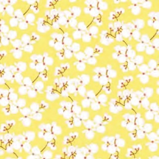 �ڲ֡ۥɥ����� PPD �ڡ��ѡ��ʥץ���/Bridget ��L������ 20�������