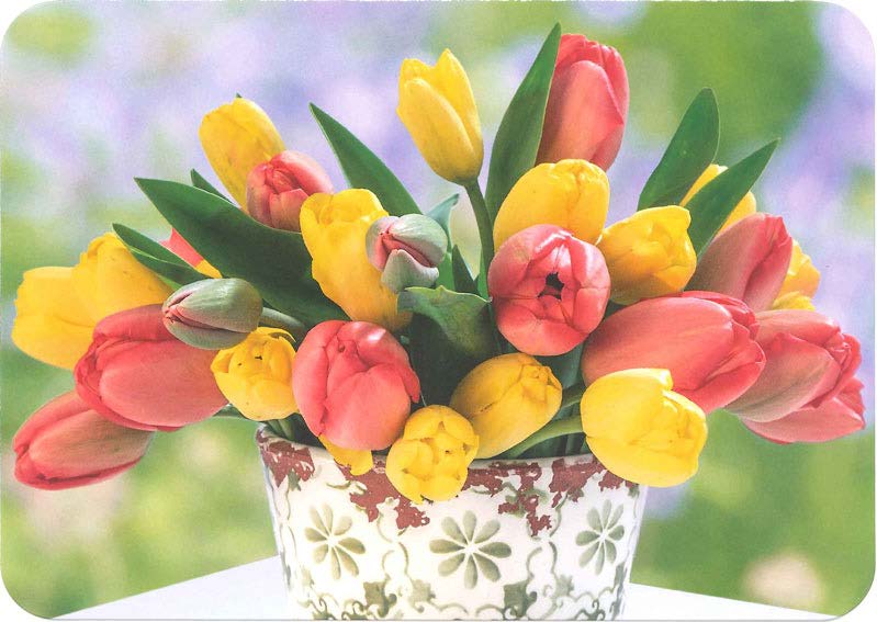 �ڲ�����͢���ݥ��ȥ����ɡۥɥ��� Gollong�ʥ�������귿������  �ե�����󥸡ʥ��塼��åס�