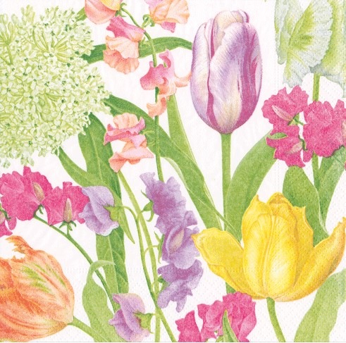 �ڲ֡�Caspari �ڡ��ѡ��ʥץ���/SpringFlowerShow��L������ 20�������