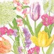 �ڲ֡�Caspari �ڡ��ѡ��ʥץ���/SpringFlowerShow��L������ 20�������