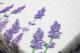 �ڥơ��֥륯���� ���� ��٥������ Exclusive Trade/Lavender