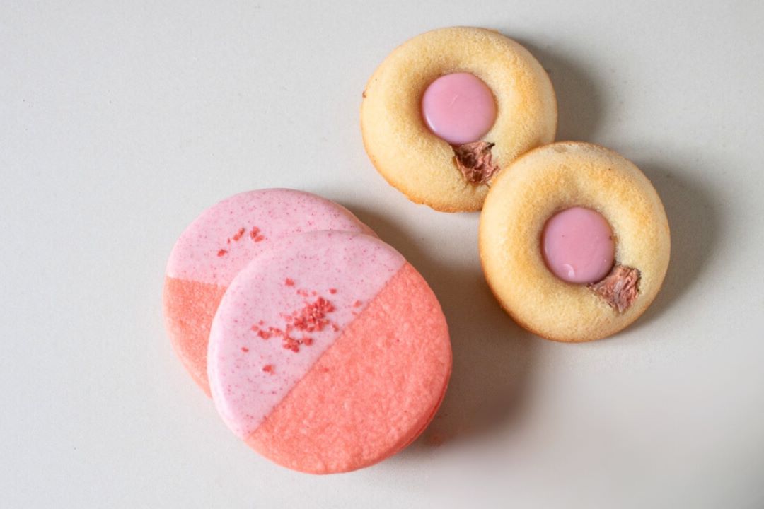 3/1発売 プランタンギフト　s-003