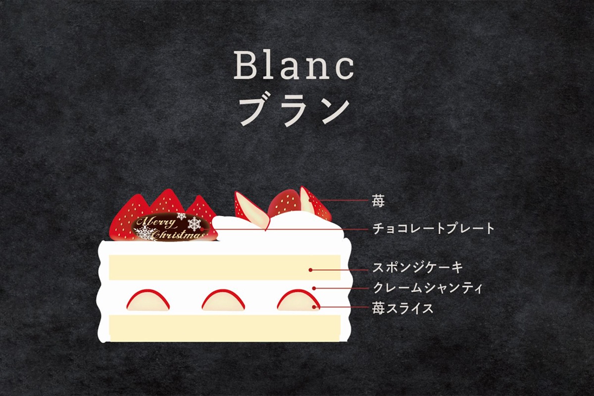 【2025】 ブラン12㎝