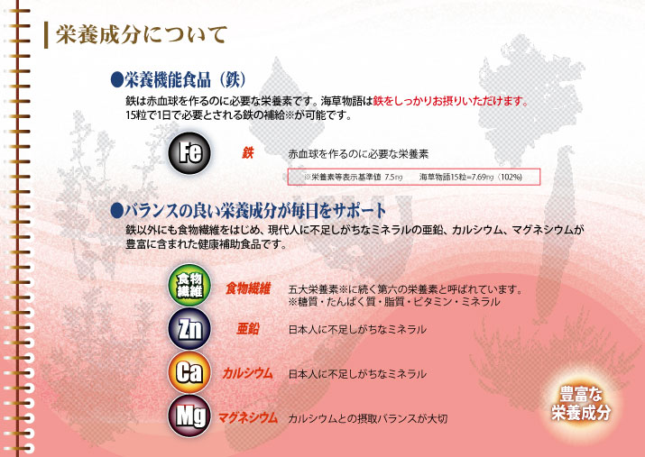 �ӥ��͡�����ʪ�졡���ܵ�ǽ���ʡ�Ŵ�ˡ�250����X600γ��150�硡bione