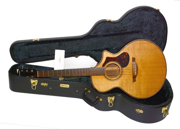 history NT-C3【専用ハードケース付き】 ギター History NT-03 HISTORY