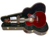 ���ϡ��ɥ������ա�TAKAMINE �����ߥ� DMP50S WR ���쥢�� ���������ƥ��å���������