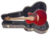 �ϡ��ɥ������� TAKAMINE �����ߥ� DMP551C WR ���쥢�� ���������ƥ��å�������