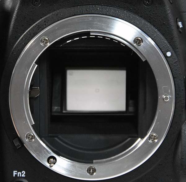 ������å����209�󡪿���Ʊ�͡�Nikon �˥��� D7500 18-140 VR ��󥺥��å� �ǥ��������ե���� ��Ȣ�ա���