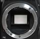������å����209�󡪿���Ʊ�͡�Nikon �˥��� D7500 18-140 VR ��󥺥��å� �ǥ��������ե���� ��Ȣ�ա���