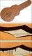 ���ϡ��ɥ������ա�Gibson ���֥��� ES-347 ���ߥ��� ���������ƥ��å���������