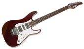 òեȥաSCHECTER  SD-2-24 BW/KC/SMS/RED/R 쥭