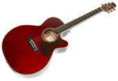 �����ò����������Хå��ա�TAKAMINE �����ߥ� DMP50S ���쥢�� ���������ƥ��å���������