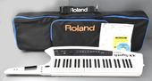 �����ò��������եȥ������ա�Roland �������� AX-Synth ���󥻥������� �������� �����ܡ��� 49���ס�