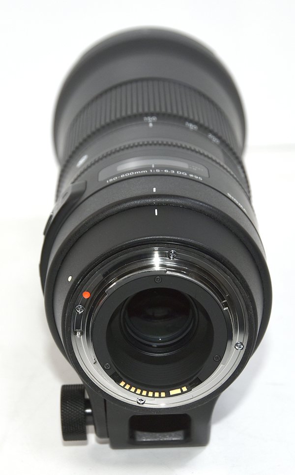 �����ò�������Ȣ�ա�SIGMA ������ 150-600mm F5-6.3 DG OS HSM Tele Converter TC-1401 Kit Canon ����Υ�EF�ޥ������ Ķ˾�󥺡����󥺡�