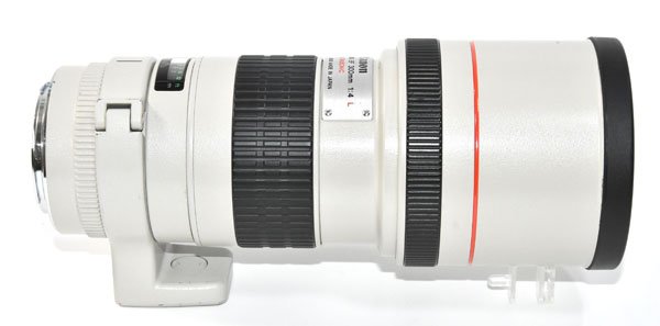 òCanon Υ EF 300mm F4L USM ñ ˾󥺡