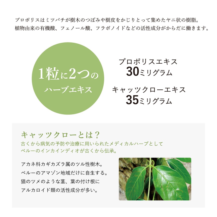 【まとめ買いで2,160円お買い得!!】 プロポ・A リキッド 60ml×2本セット　（ブラジル ミナス・ジェライス州産　高品質プロポリス　液体タイプ）