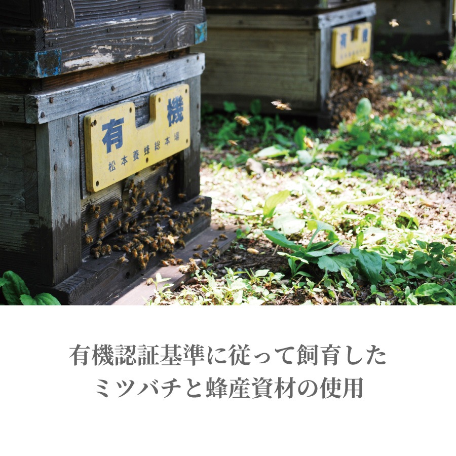 JONA認証 有機はちみつ　栃の花  40g