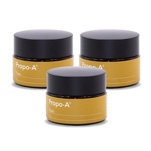 【まとめ買いで421円お買い得!!】 プロポ・A ペースト 18g×3個（高品質プロポリス配合）