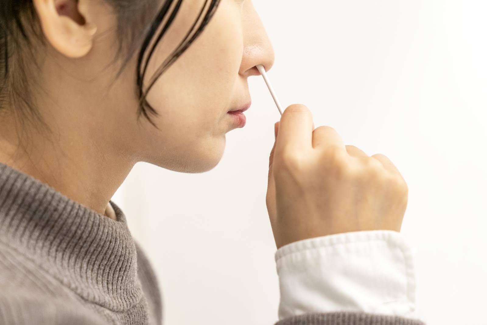 【まとめ買いで421円お買い得!!】 プロポ・A ペースト 18g×3個（高品質プロポリス配合）