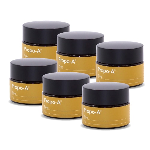 【まとめ買いで1,360円お買い得!!】プロポ・A ペースト 18g×6個(高品質プロポリス配合)