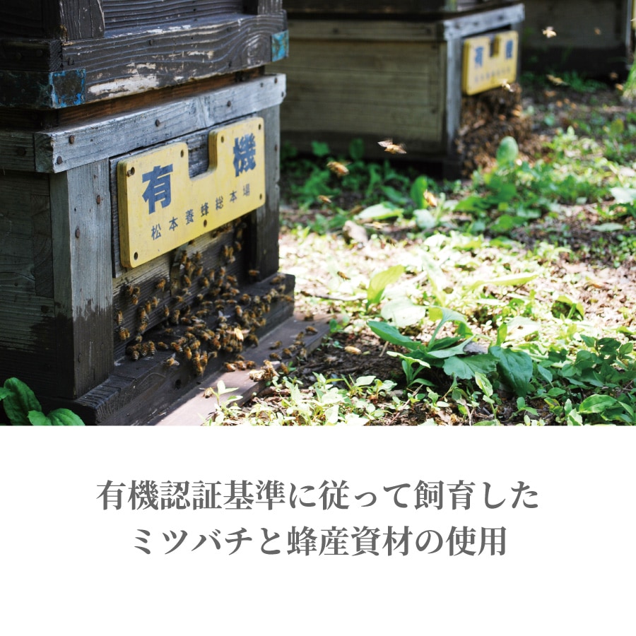 【2026年新蜜】JONA認証 有機はちみつ 栃の花 850g