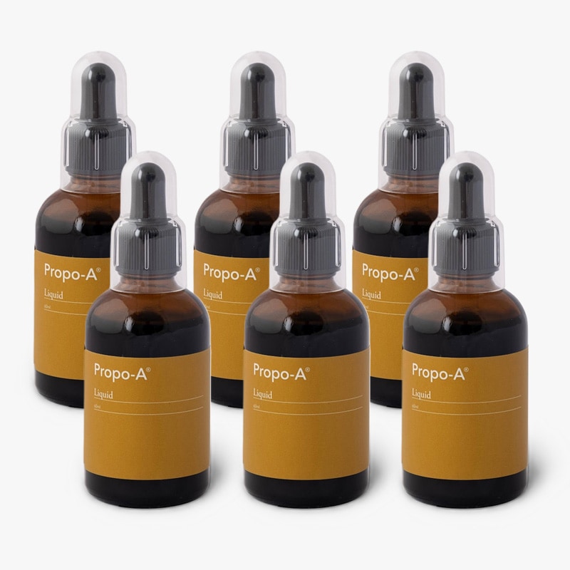 【まとめ買いで18,144円お買い得!!】 プロポ・A リキッド 60ml×6本セット (ブラジル ミナス・ジェライス州産 高品質プロポリス 液体タイプ)