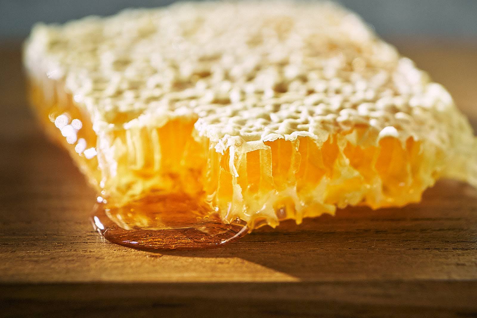 premium comb honey 330g（イタリア製紙専用ギフトボックス入り） ～巣蜜