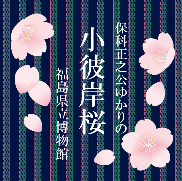 【福島県立博物館 × 松本養蜂総本場】 小彼岸桜（コヒガンザクラ）2025　100g