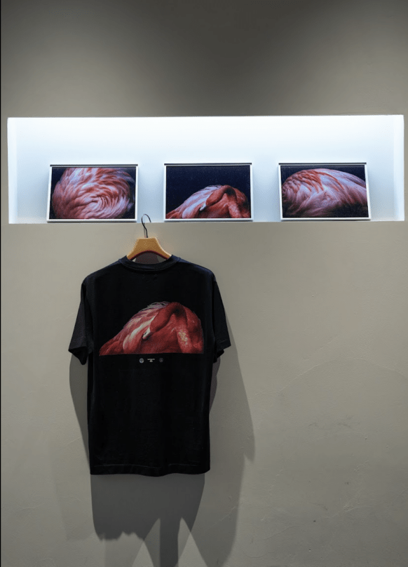 WOLF-T   Photo Tee for CATHEDRAL