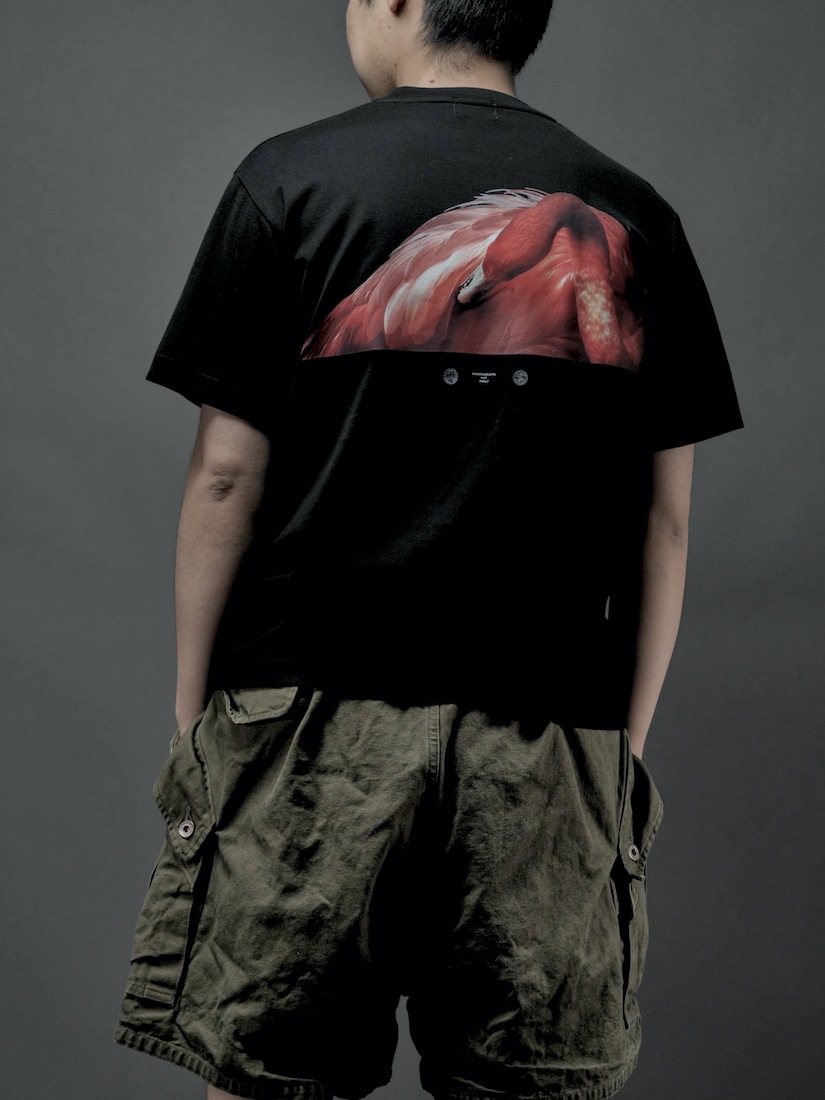 WOLF-T   Photo Tee for CATHEDRAL
