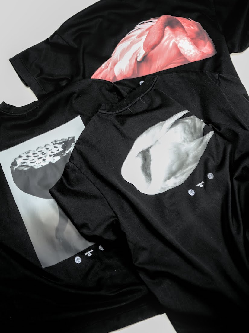 WOLF-T   Photo Tee for CATHEDRAL