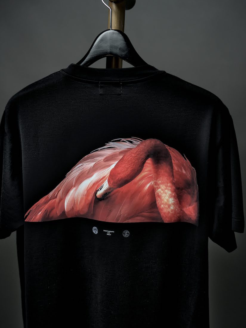 WOLF-T   Photo Tee for CATHEDRAL